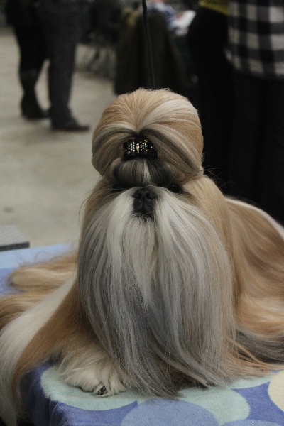 CH. Sankara domaine des atlantes